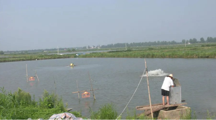 www.maritechchina.com