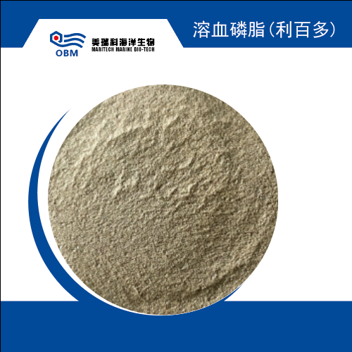 maritechchina.com