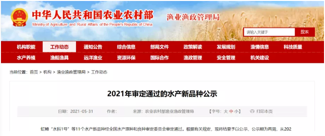maritechchina.com