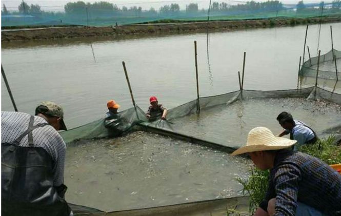 www.maritechchina.com