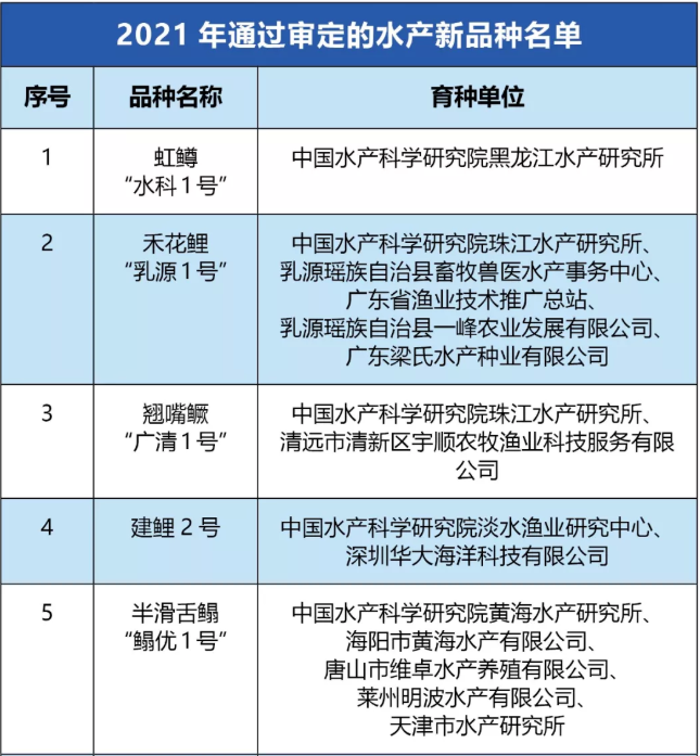 maritechchina.com
