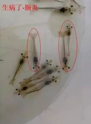 www.maritechchina.com