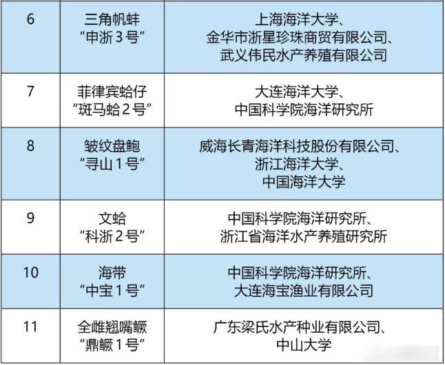 maritechchina.com